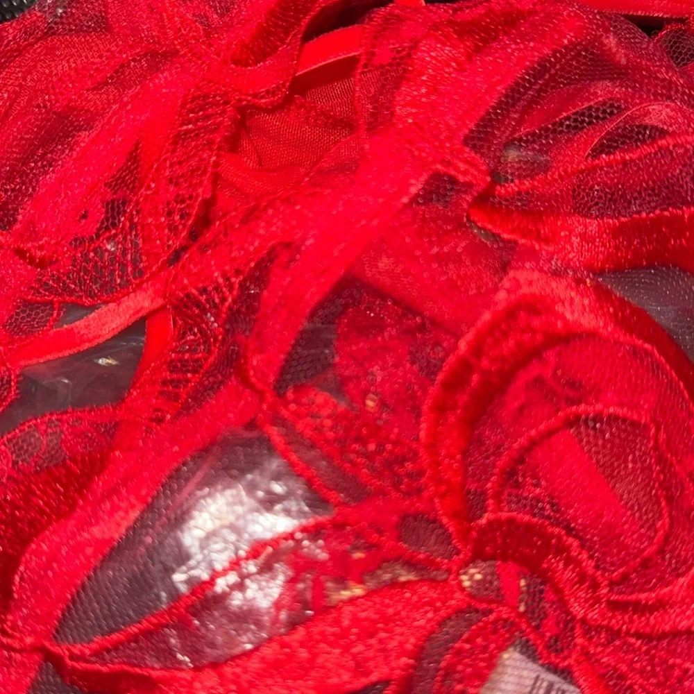VERY SEXY Tied-with-a-Bow‎ Embroidery Plunge Teddy